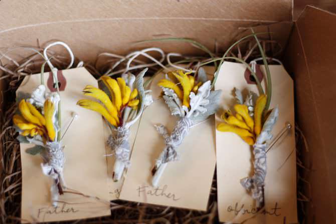 kangaroo-paws-boutonniere