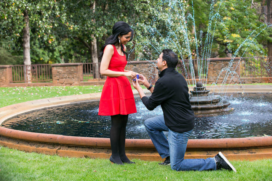 proposal