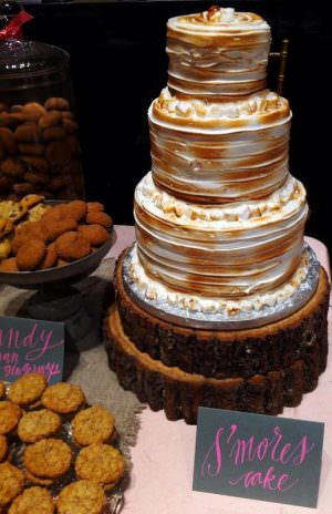 smores-wedding-cake