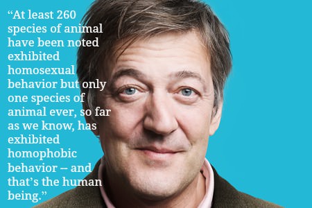 stephen-fry-gay-marriage-quote