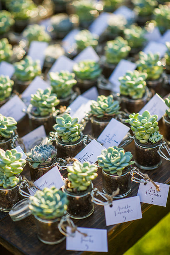 succulent-wedding-favors