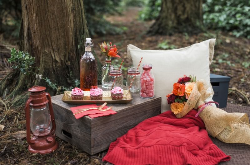 Image for Inspiration: A Monochromatic Valentine’s Day Picnic