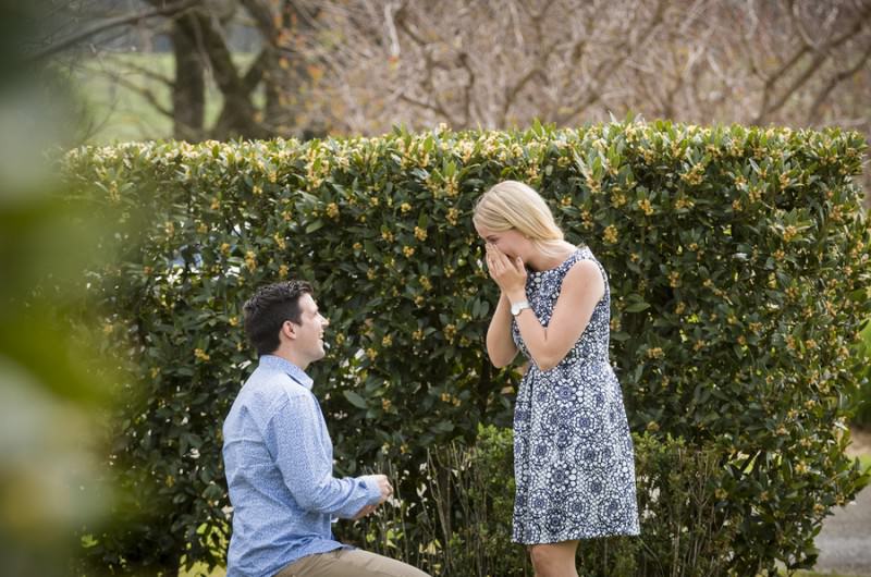 Image for Paul and Elise’s Australian Yarra Valley Vineyard Proposal