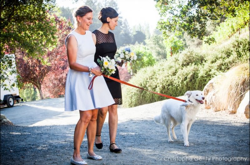 Image for #WeddingWednesday: San Francisco Wedding Planner Amy Nichols Special Events