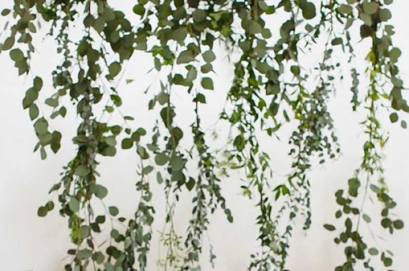 Image for 15 Ceremony Backdrops We’re Swooning Over