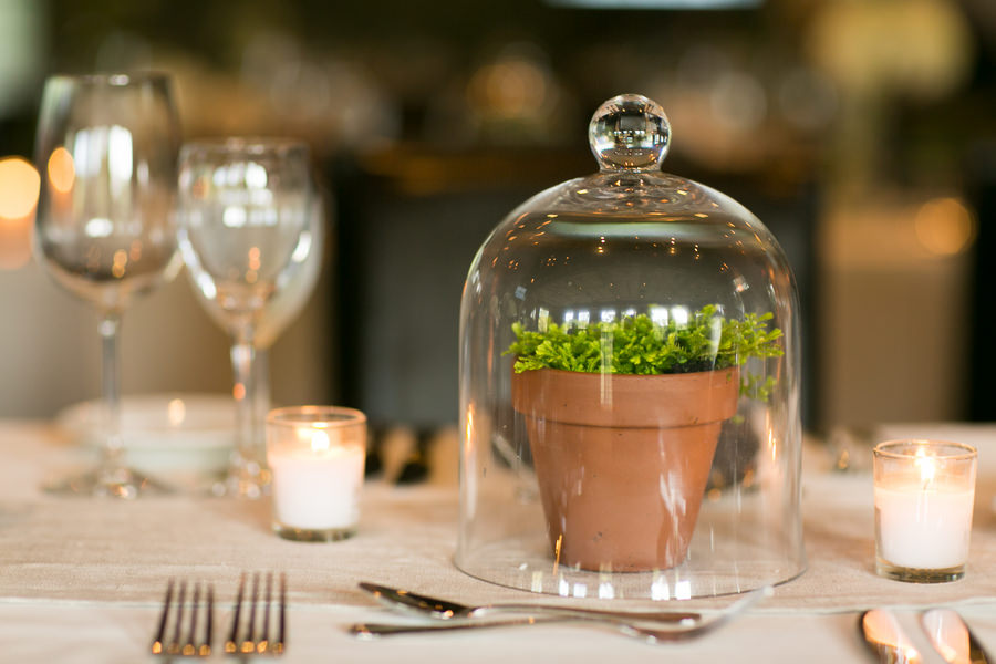 terrarium-wedding-decor-sarah-tew-photography