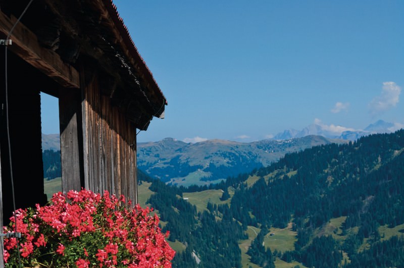 Image for 6 Travel and Food Trends to Look Forward to in 2016