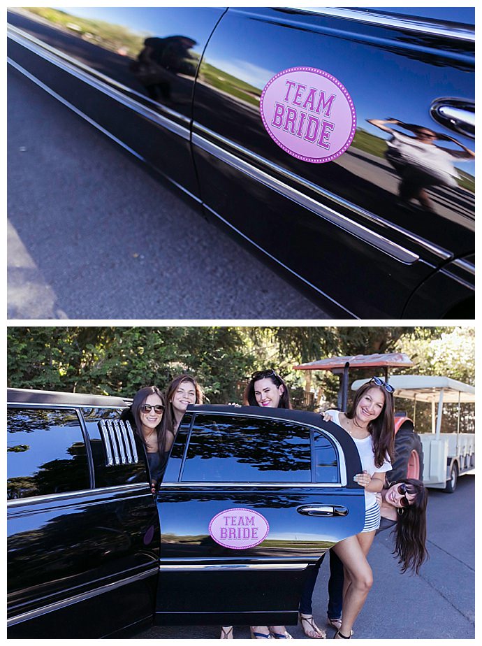 bachelorette-party-car-magnets