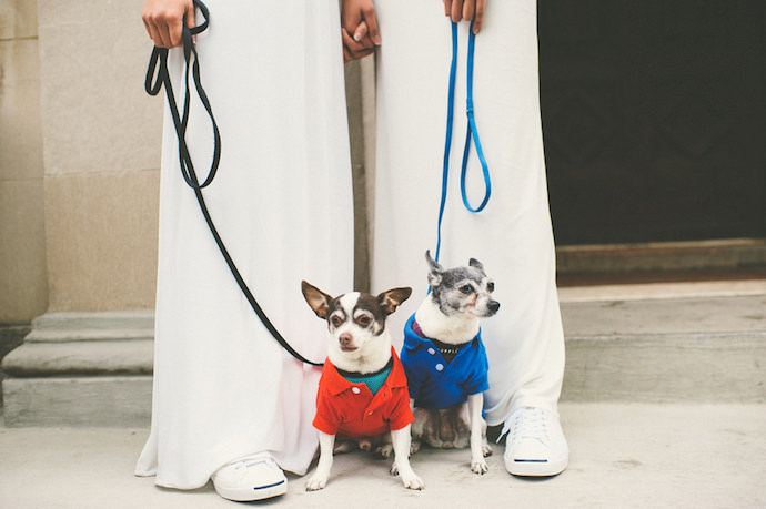 tips-for-having-your-dog-in-your-wedding