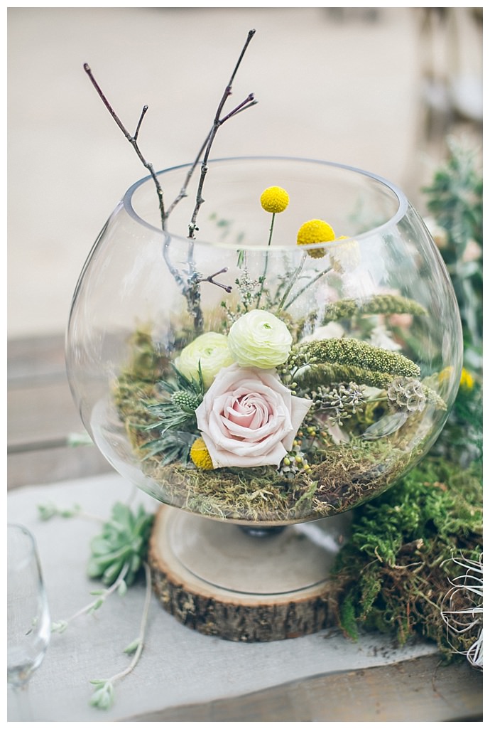 terrarium centerpieces