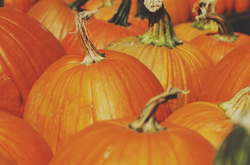 Image for 9 Pumpkin Spice Beauty Products to Spice Up Your Fall