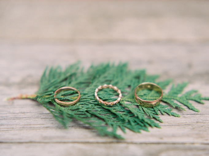 holiday-fir-tree-ring-shot