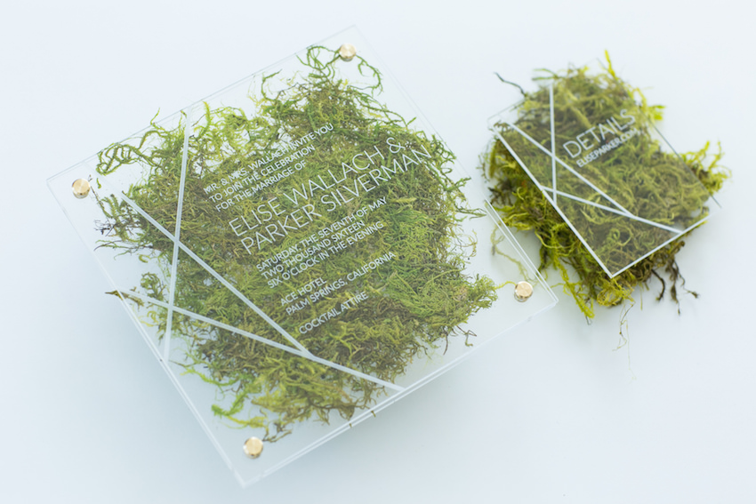 moss-and-acrylic-wedding-invitation