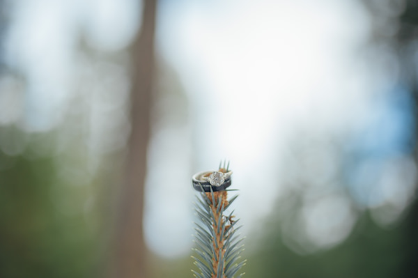 wintry-holiday-ring-shot-1