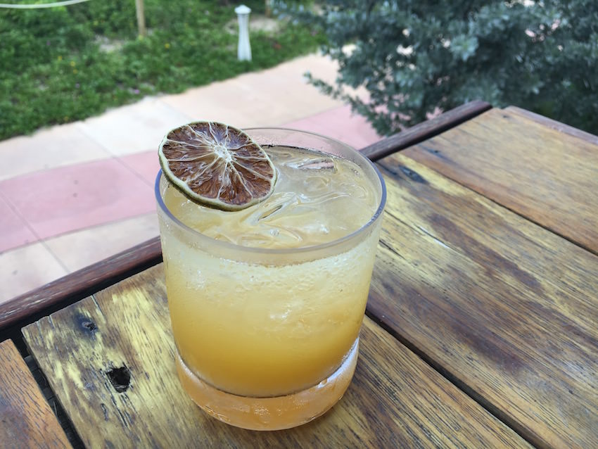 Botanical Gin Cocktail