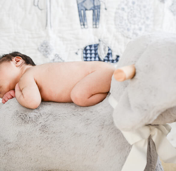 Elephant-Themed Nursery