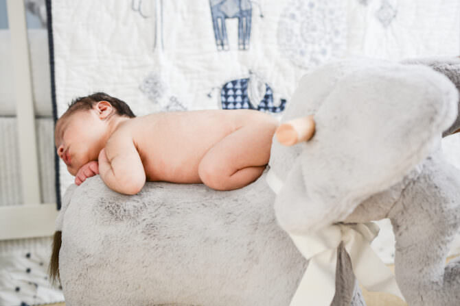 Elephant-Themed Nursery