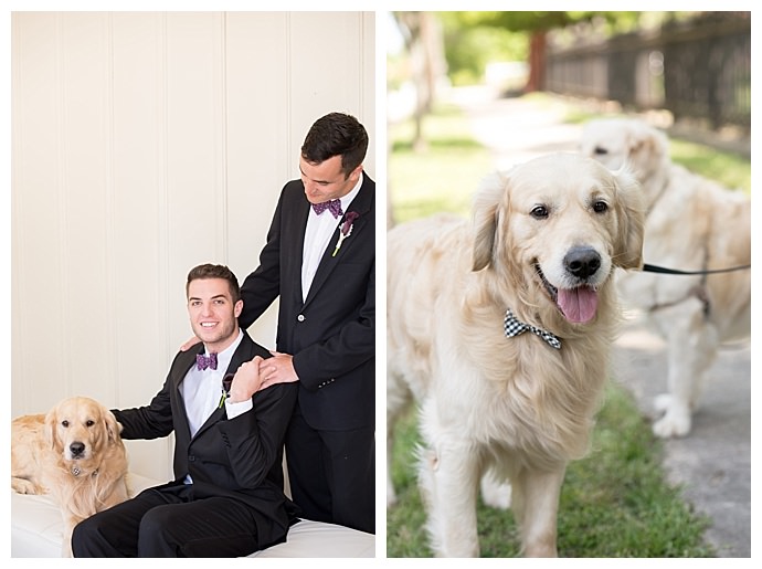 grooms-and-golden-retrievers