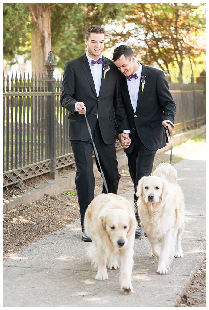 grooms-with-dogs