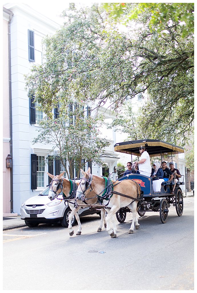 Charleston Carriage Ride