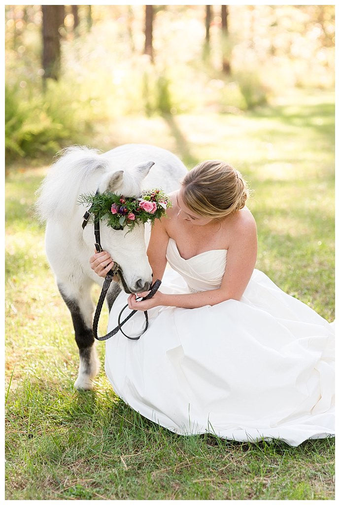 mini-horse-wedding-pictures-megan-travis-photography