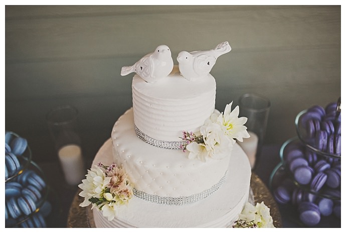 white-wedding-cake-bird-cake-toppers-ryan-horban-photography