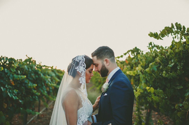 Image for Sam and Alicia’s Temecula Wine Country Wedding