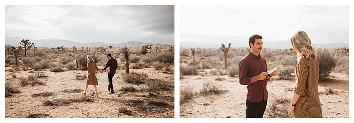 KNDM-co-photo-joshua-tree-proposal