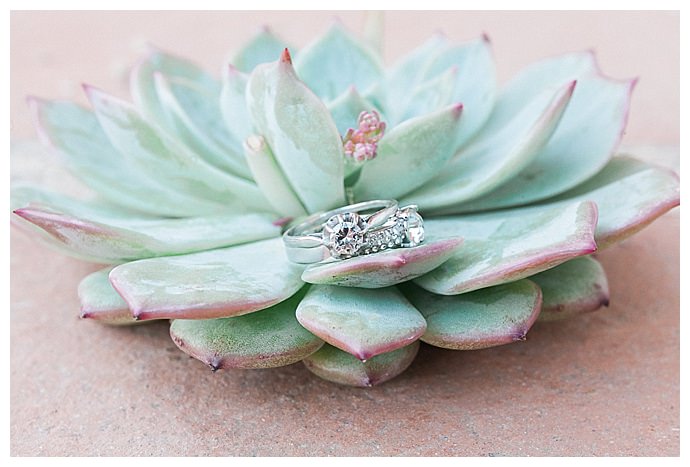 succulent-ring-shot-sorya-pedoussaut-photography