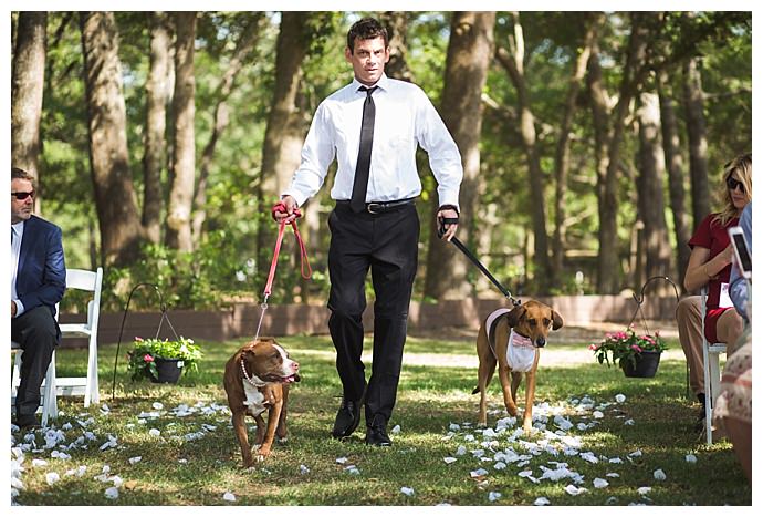 dog-tuxedos-for-weddings-cory-lee-photography