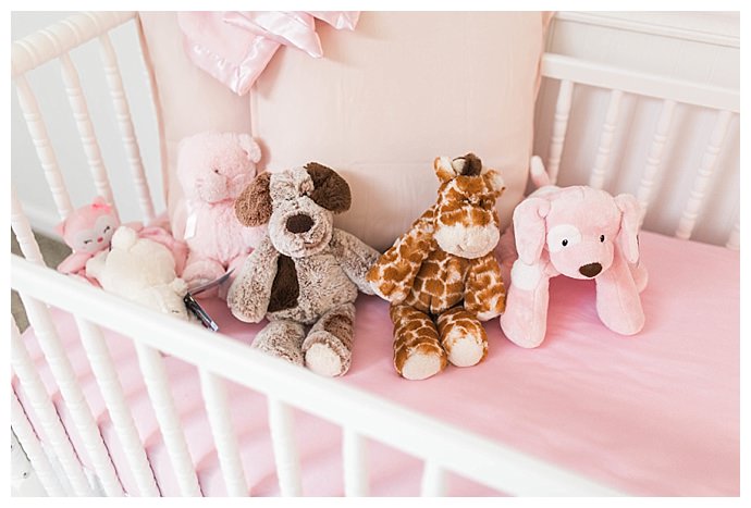 cieara-ruess-photography-pink-crib-stuffed-animals