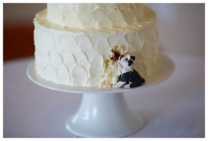 funny-dog-wedding-cake-ideas-dani-fine-photography