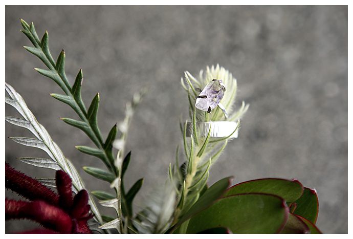 gemstone-wedding-ring-hattie-root-photography