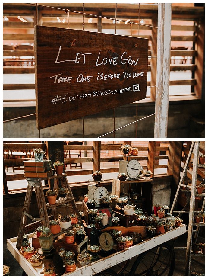 let-love-grow-succulent-wedding-favors-t-and-k-photography