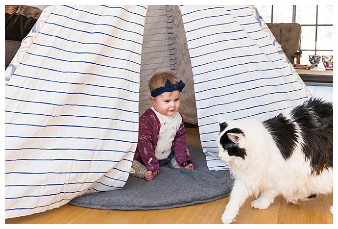 Minted Play Tent