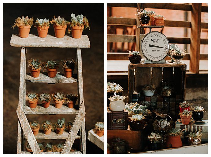 t-and-k-photography-succulent-wedding-favor-display