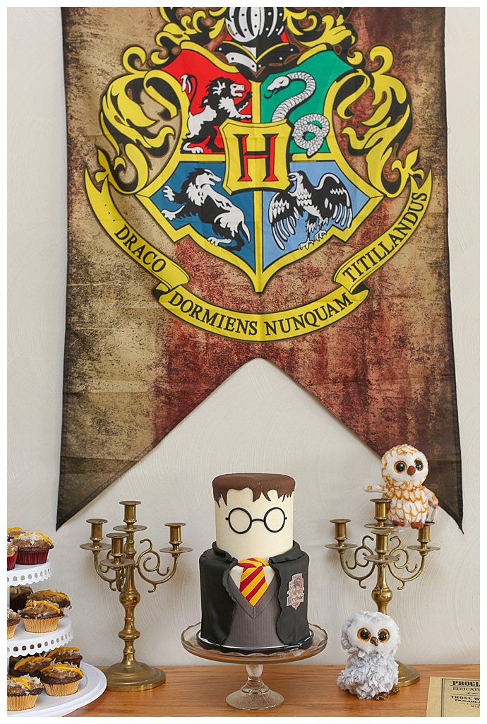 fresh-look-photography-harry-potter-birthday-cake