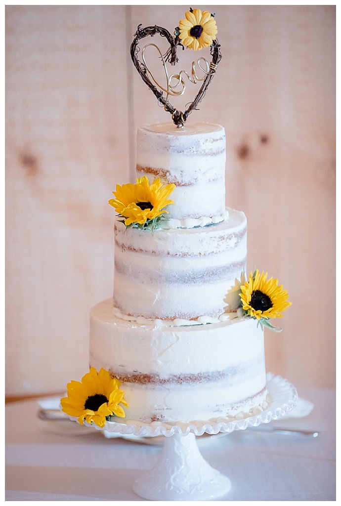 rustic-sheer-naked-wedding-cake-tnk-photography