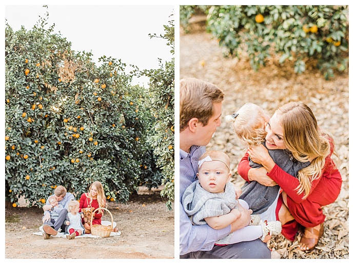 california-orange-grove-dana-sophia-photography