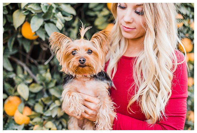 dana-sophia-photography-dogs-in-family-photos