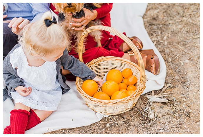 dana-sophia-photography-orange-picking-family-pictures