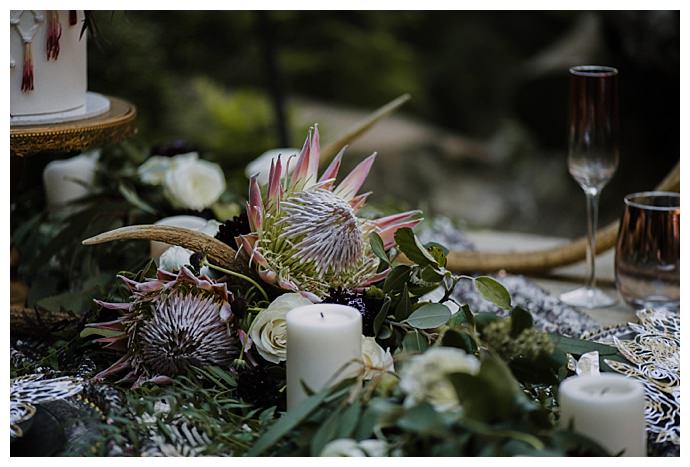 king-protea-wedding-flowers-translucent-photography