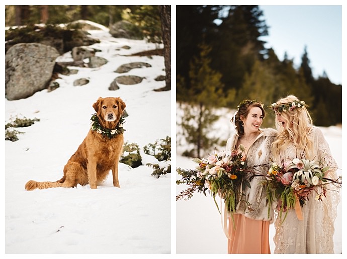 dog-floral-wreath-kate-merrill-photography