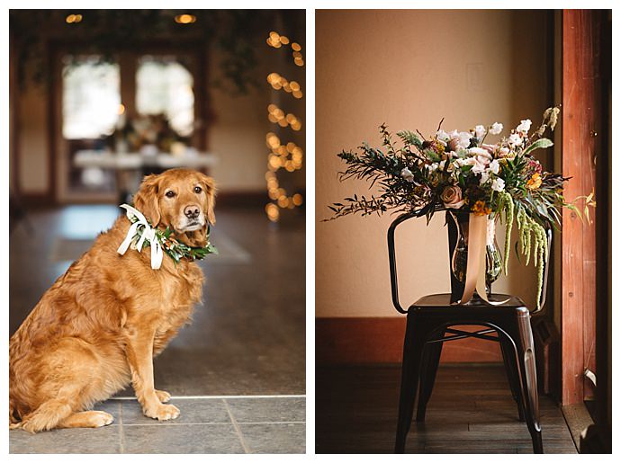 floral-wedding-wreath-for-dog-kate-merrill-photography