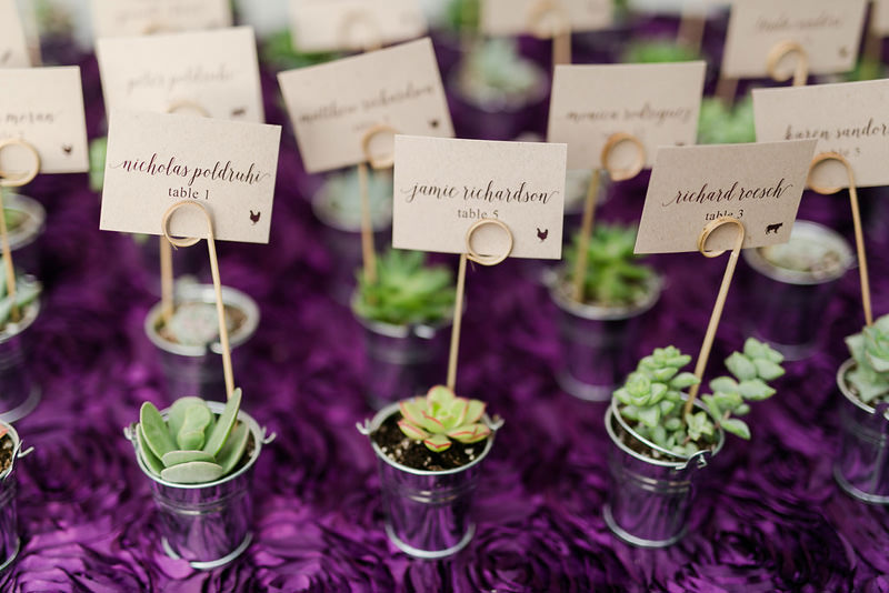 succulent-escort-cards