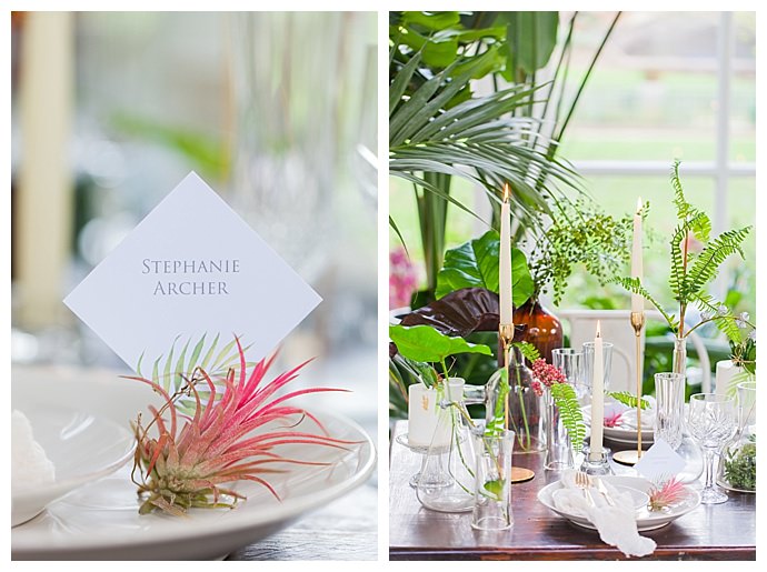 amanda-karen-photography-air-plant-place-card-holder