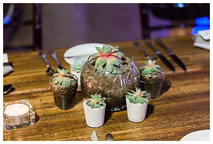 succulent-wedding-decor-kimberly-weber-photography