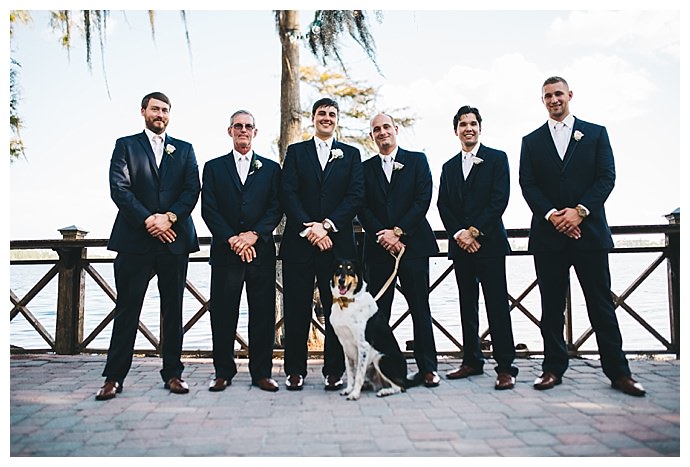 dog ring bearer