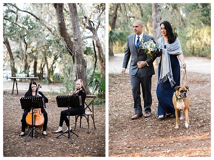 dog flower girl