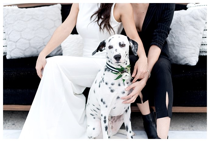 dog-floral-wedding-collar-kristen-weaver-photography